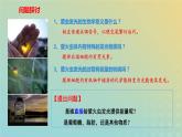 新教材2023年秋高中生物5.2细胞的能量货币ATP课件新人教版必修1