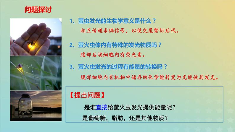 新教材2023年秋高中生物5.2细胞的能量货币ATP课件新人教版必修1第3页