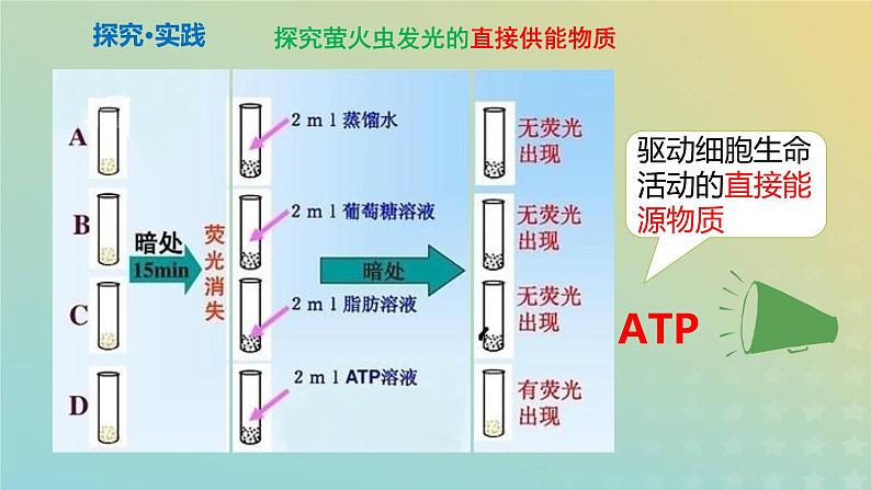 新教材2023年秋高中生物5.2细胞的能量货币ATP课件新人教版必修1第4页