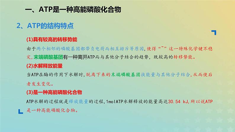 新教材2023年秋高中生物5.2细胞的能量货币ATP课件新人教版必修1第7页