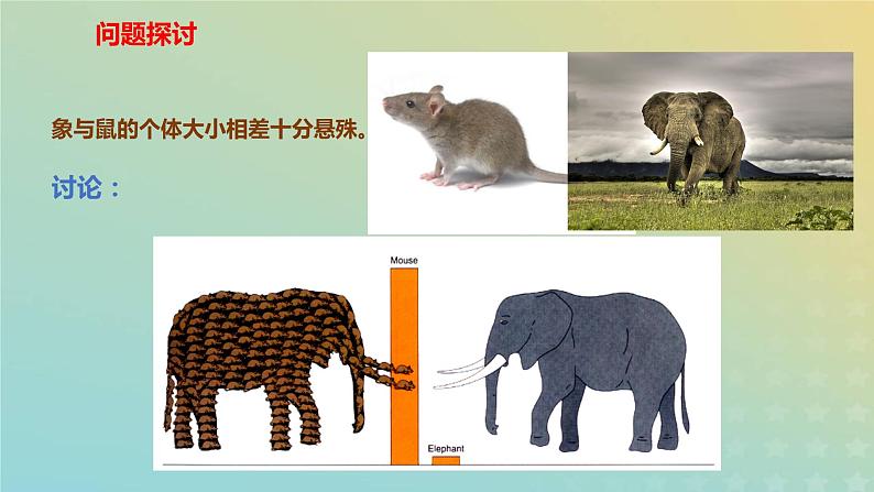 新教材2023年秋高中生物6.1细胞的增殖课件新人教版必修102