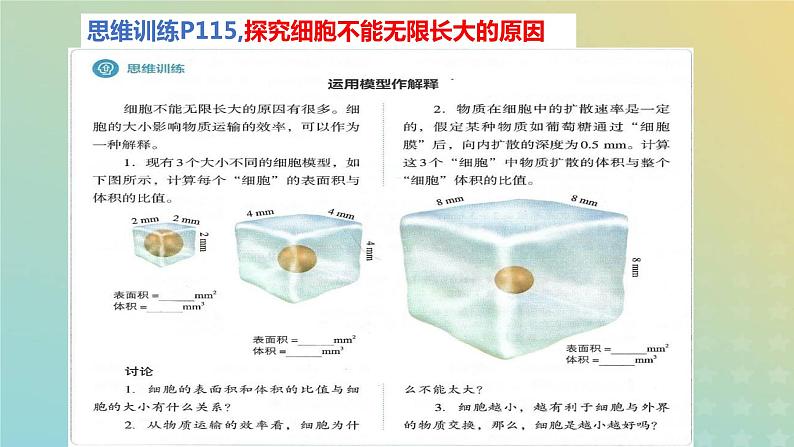 新教材2023年秋高中生物6.1细胞的增殖课件新人教版必修104