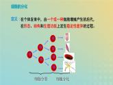 新教材2023年秋高中生物6.2细胞的分化课件新人教版必修1