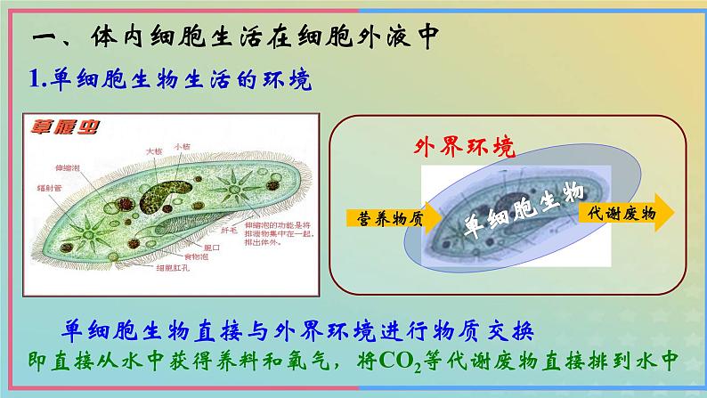 新教材2023年秋高中生物1.1细胞生活的环境课件课件新人教版选择性必修108