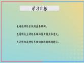 新教材2023年秋高中生物2.1神经调节的结构基础课件新人教版选择性必修1