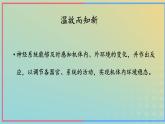 新教材2023年秋高中生物2.2神经调节的基本方式课件新人教版选择性必修1