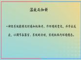 新教材2023年秋高中生物2.2神经调节的基本方式课件新人教版选择性必修1
