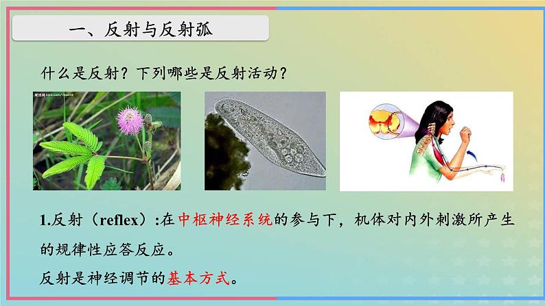 新教材2023年秋高中生物2.2神经调节的基本方式课件新人教版选择性必修108