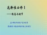 新教材2023年秋高中生物2.3神经冲动的产生和传导第1课时课件新人教版选择性必修1