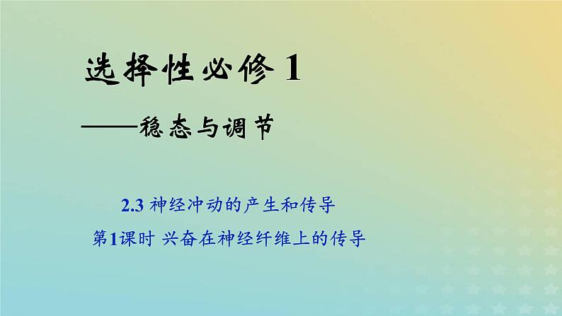 新教材2023年秋高中生物2.3神经冲动的产生和传导第1课时课件新人教版选择性必修101