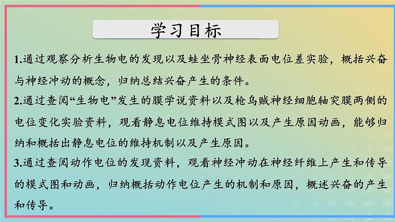 新教材2023年秋高中生物2.3神经冲动的产生和传导第1课时课件新人教版选择性必修106