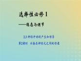 新教材2023年秋高中生物2.3神经冲动的产生和传导第2课时课件新人教版选择性必修1