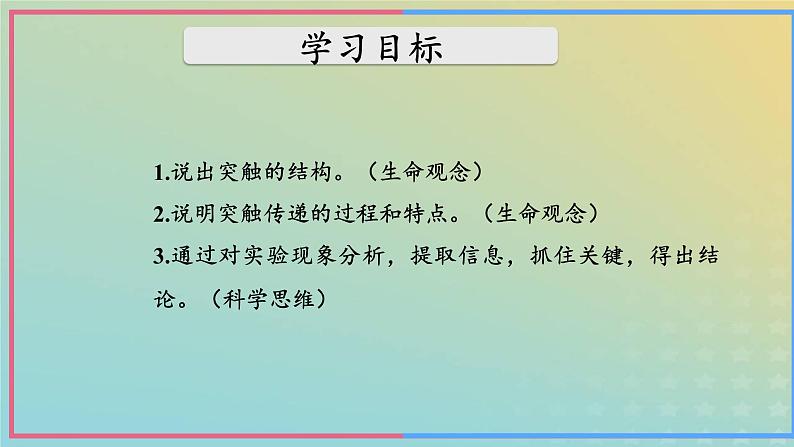 新教材2023年秋高中生物2.3神经冲动的产生和传导第2课时课件新人教版选择性必修1第3页