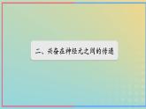 新教材2023年秋高中生物2.3神经冲动的产生和传导第2课时课件新人教版选择性必修1