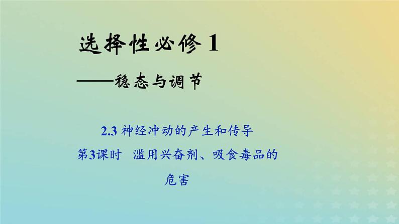 新教材2023年秋高中生物2.3神经冲动的产生和传导第3课时课件新人教版选择性必修101