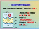 新教材2023年秋高中生物2.3神经冲动的产生和传导第3课时课件新人教版选择性必修1