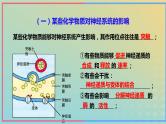 新教材2023年秋高中生物2.3神经冲动的产生和传导第3课时课件新人教版选择性必修1