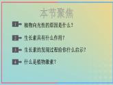 新教材2023年秋高中生物5.1植物生长素课件新人教版选择性必修1
