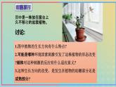 新教材2023年秋高中生物5.1植物生长素课件新人教版选择性必修1