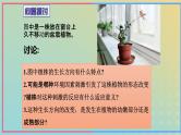 新教材2023年秋高中生物5.1植物生长素课件新人教版选择性必修1