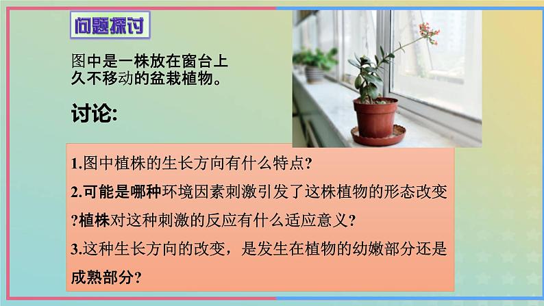 新教材2023年秋高中生物5.1植物生长素课件新人教版选择性必修104