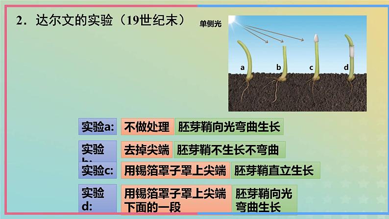 新教材2023年秋高中生物5.1植物生长素课件新人教版选择性必修107