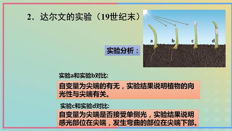 新教材2023年秋高中生物5.1植物生长素课件新人教版选择性必修108