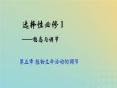 新教材2023年秋高中生物5.2其他植物激素课件新人教版选择性必修1
