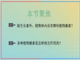 新教材2023年秋高中生物5.2其他植物激素课件新人教版选择性必修1