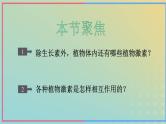 新教材2023年秋高中生物5.2其他植物激素课件新人教版选择性必修1