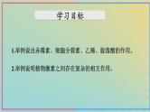 新教材2023年秋高中生物5.2其他植物激素课件新人教版选择性必修1