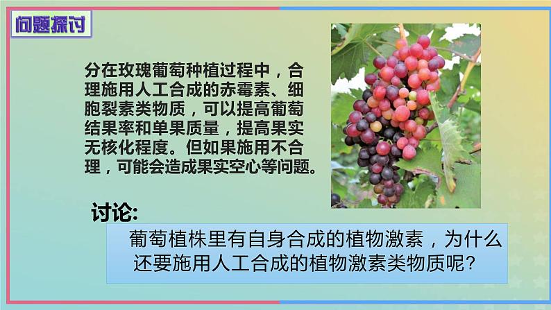 新教材2023年秋高中生物5.3植物生长调节剂的应用课件新人教版选择性必修1第4页