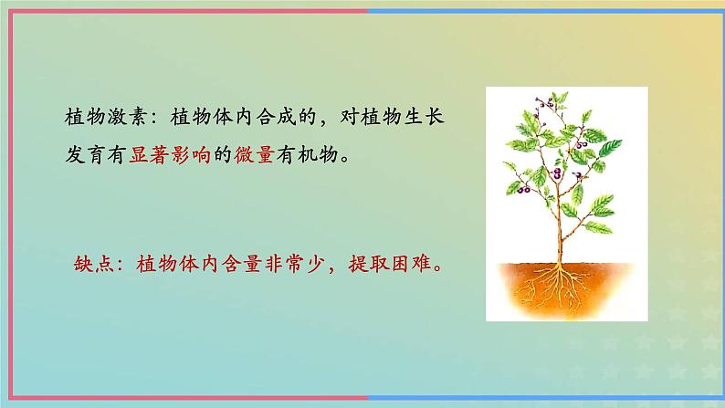 新教材2023年秋高中生物5.3植物生长调节剂的应用课件新人教版选择性必修1第5页