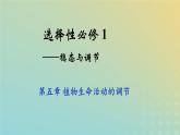 新教材2023年秋高中生物5.4环境因素参与调节植物的生命活动课件新人教版选择性必修1