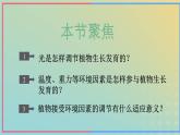 新教材2023年秋高中生物5.4环境因素参与调节植物的生命活动课件新人教版选择性必修1