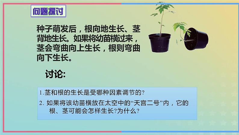 新教材2023年秋高中生物5.4环境因素参与调节植物的生命活动课件新人教版选择性必修1第4页