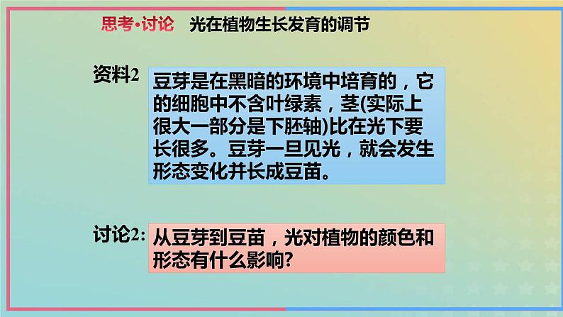 新教材2023年秋高中生物5.4环境因素参与调节植物的生命活动课件新人教版选择性必修1第7页