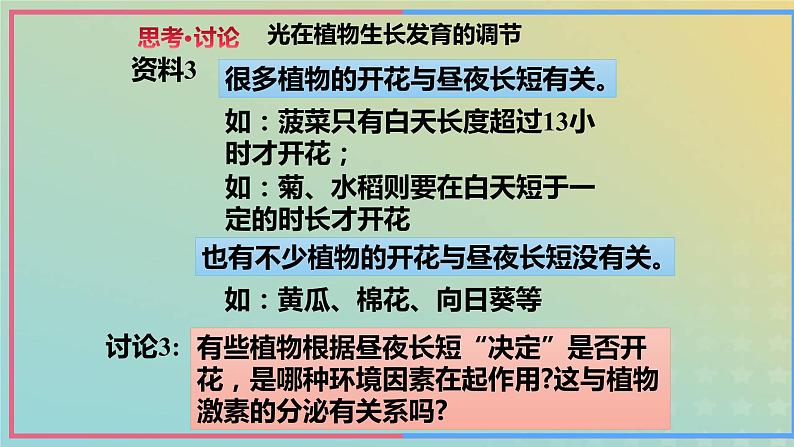 新教材2023年秋高中生物5.4环境因素参与调节植物的生命活动课件新人教版选择性必修1第8页