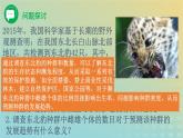 新教材同步备课系列2023高中生物1.1种群的数量特征课件新人教版选择性必修2