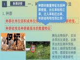 新教材同步备课系列2023高中生物1.1种群的数量特征课件新人教版选择性必修2