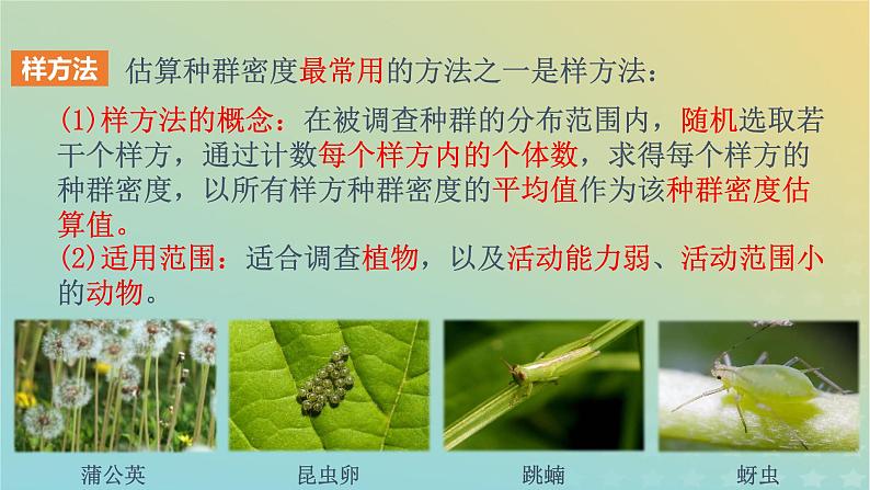 新教材同步备课系列2023高中生物1.1种群的数量特征课件新人教版选择性必修2第7页