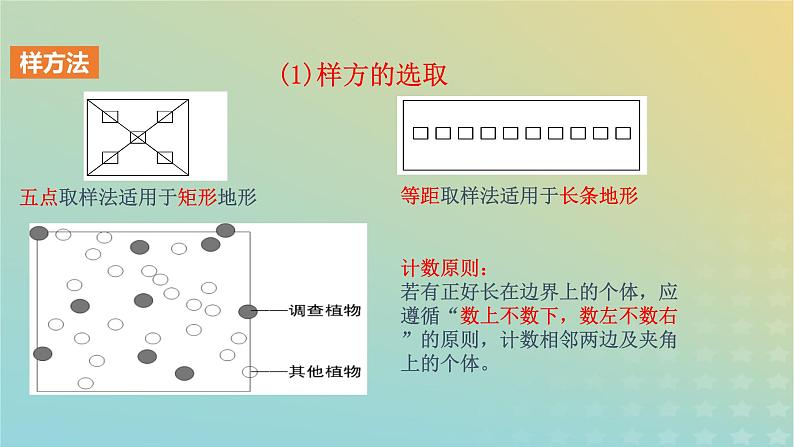 新教材同步备课系列2023高中生物1.1种群的数量特征课件新人教版选择性必修2第8页