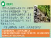 新教材同步备课系列2023高中生物2.1.1群落的结构课件新人教版选择性必修2