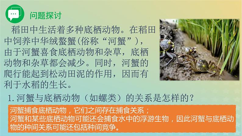 新教材同步备课系列2023高中生物2.1.1群落的结构课件新人教版选择性必修2第3页