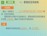 新教材同步备课系列2023高中生物2.1.2群落的结构课件新人教版选择性必修2