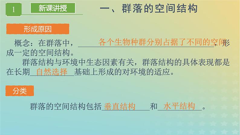 新教材同步备课系列2023高中生物2.1.2群落的结构课件新人教版选择性必修2第3页