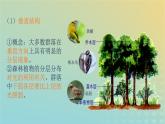 新教材同步备课系列2023高中生物2.1.2群落的结构课件新人教版选择性必修2