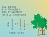 新教材同步备课系列2023高中生物2.1.2群落的结构课件新人教版选择性必修2