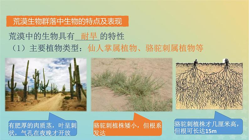 新教材同步备课系列2023高中生物2.2群落的主要类型课件新人教版选择性必修2第7页