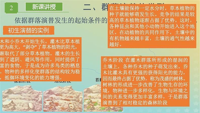 新教材同步备课系列2023高中生物2.3群落的演替课件新人教版选择性必修2第8页